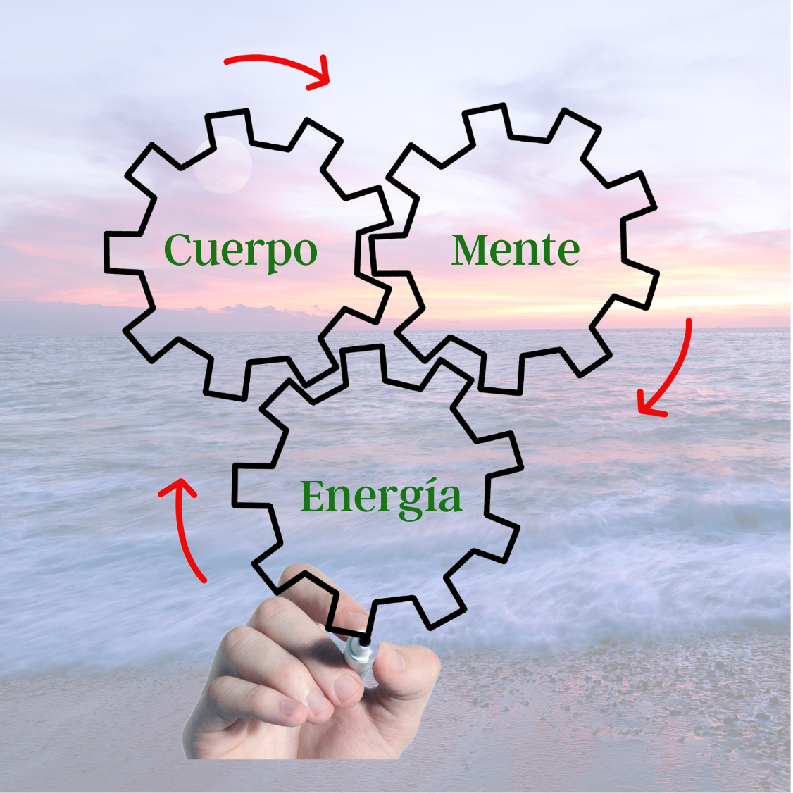 Servicio de Kinesiología