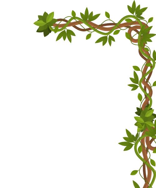 Marco para la información del Programa