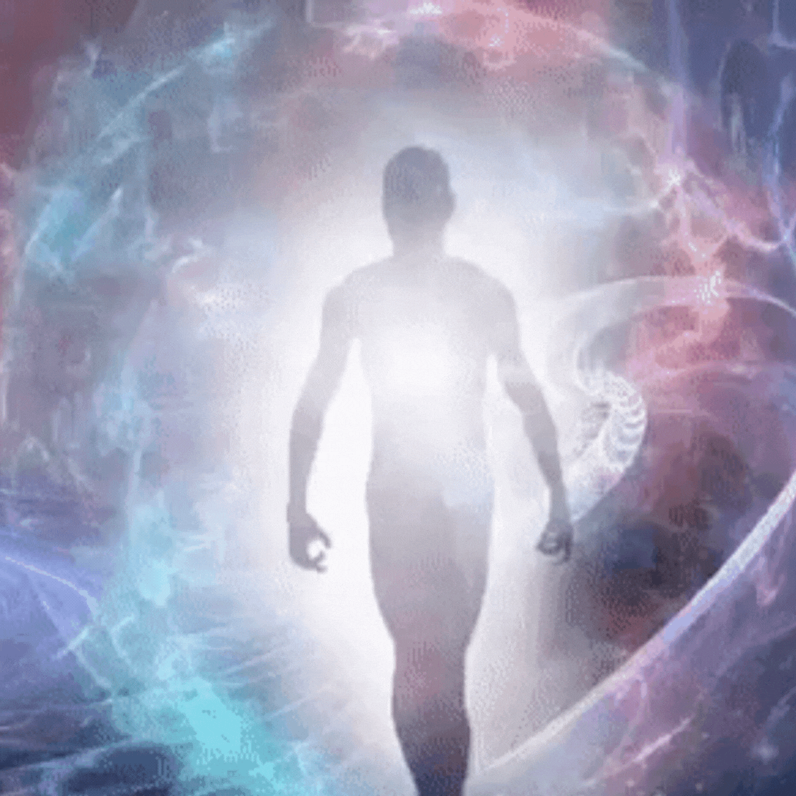 Servicio de Natural Life Collado